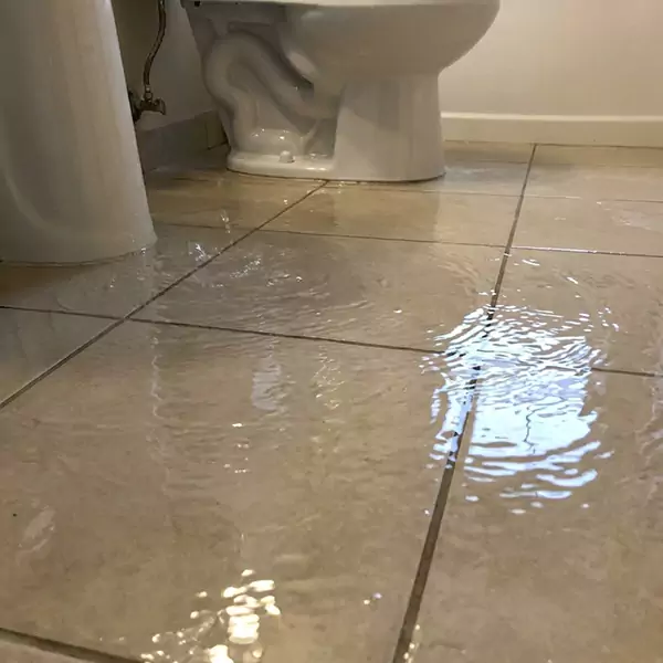 Expert Flooded Bathroom Restoration in Colorado Springs, CO 