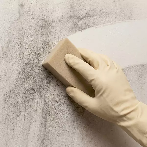 Smoke Cleaning in Colorado Springs, CO 