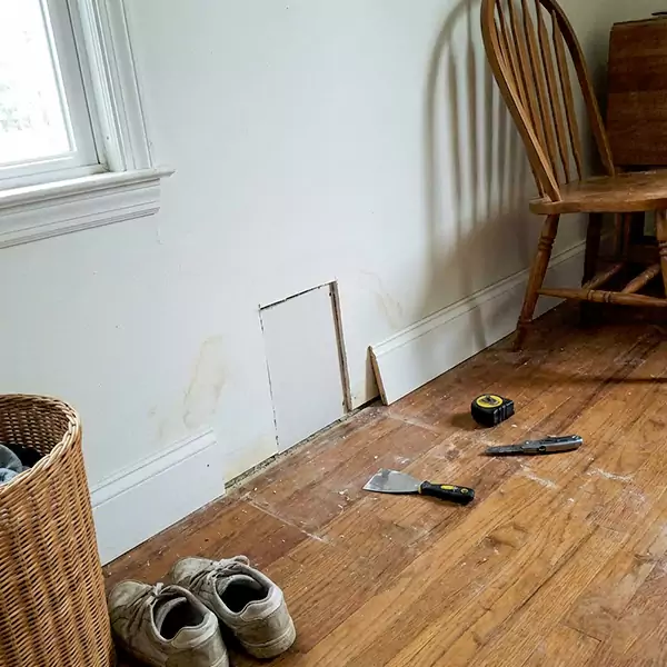 Expert Water Damage Repair in Colorado Springs, CO 