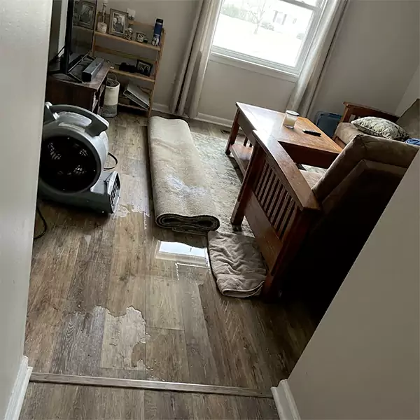 Water Restoration in Colorado Springs, CO