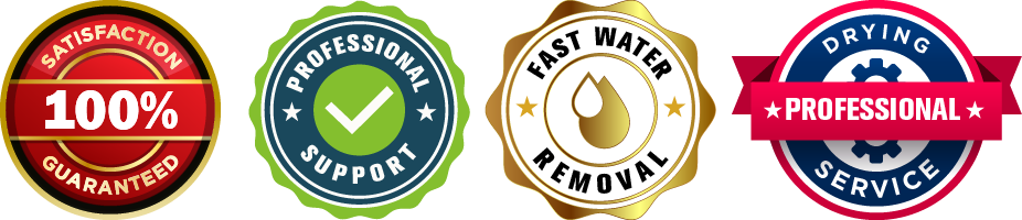 Professional Emergency Water Extraction