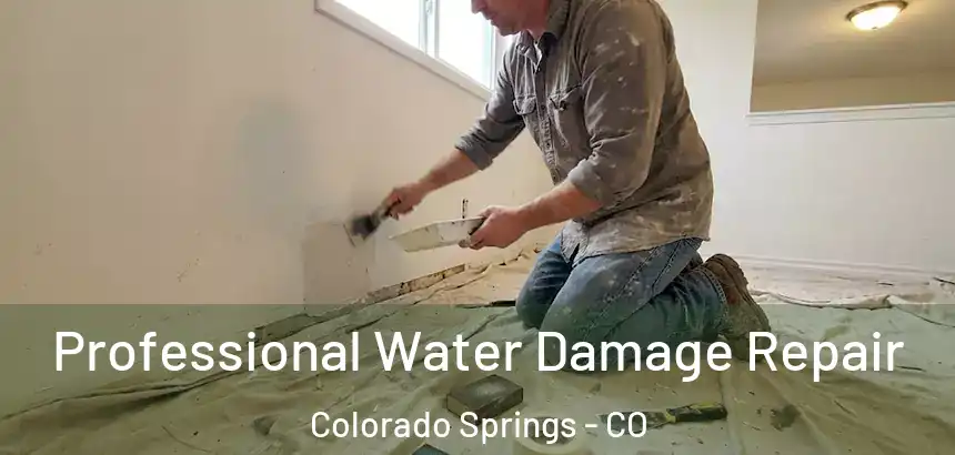 Professional Water Damage Repair Colorado Springs - CO