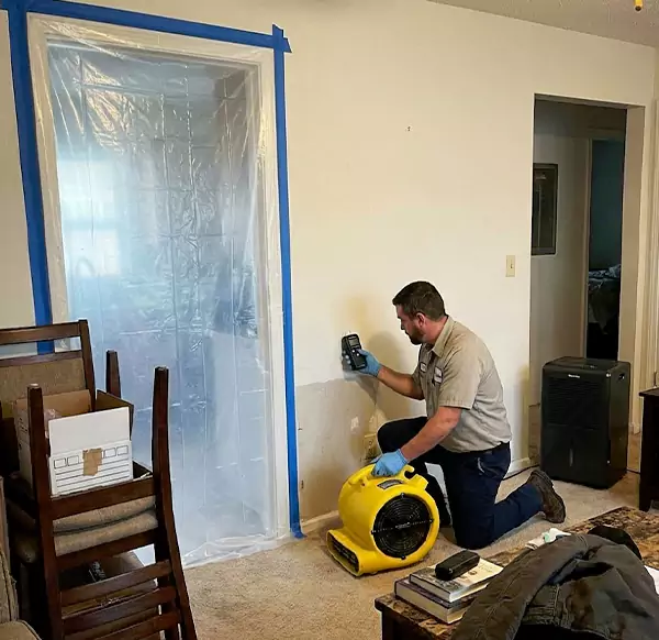 Why Homeowners & Businesses Choose Colorado Springs Water Cleanup for Water Remediation in Colorado Springs, CO?