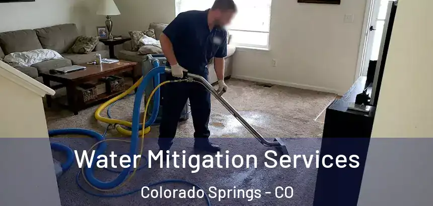  Water Mitigation Services Colorado Springs - CO